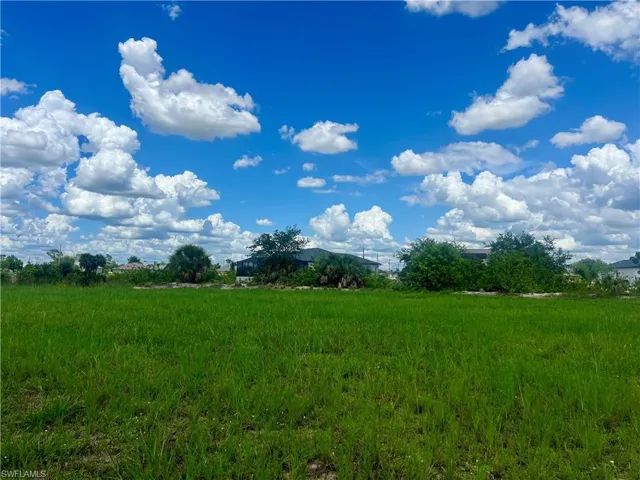View of nature