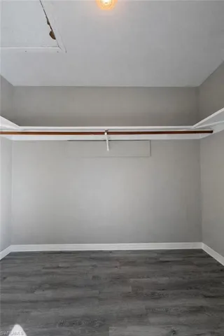 Spacious closet featuring dark wood finished floors