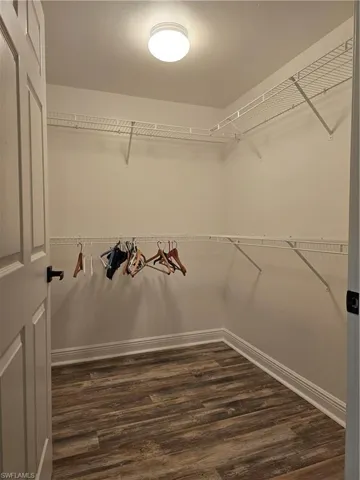 Walk in closet with dark hardwood / wood-style floors