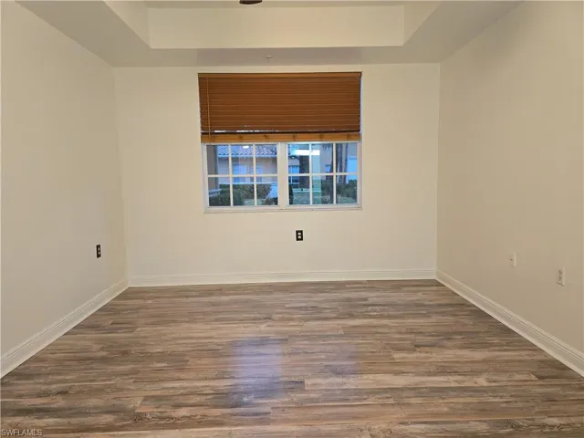 Spare room with a raised ceiling and dark hardwood / wood-style flooring