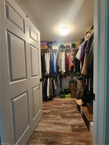 Spacious closet with wood-type flooring