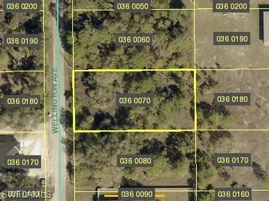 1410 Wellington Ave, Lehigh Acres, Florida 33972