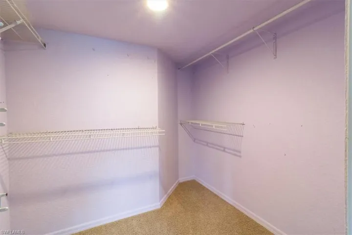 Spacious closet with carpet floors