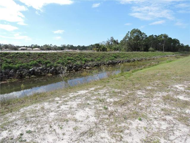 The canal attracts lots of birds, turtles, and fish.