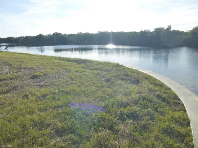 Sparkling water views over mangroves.