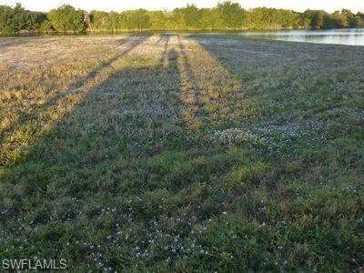 View across the lot over mangroves.