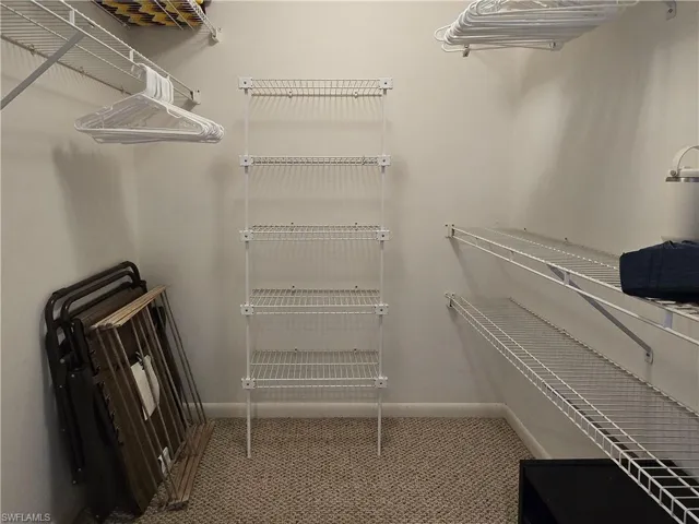 Spacious walk-in closet with carpet flooring
