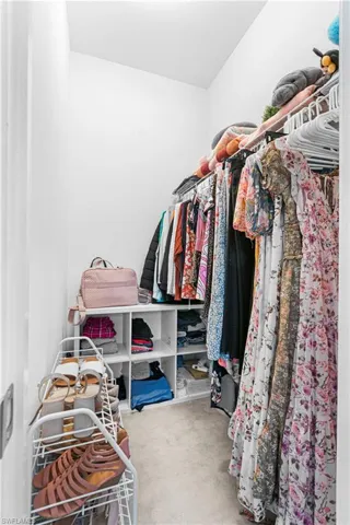 Spacious closet featuring carpet floors