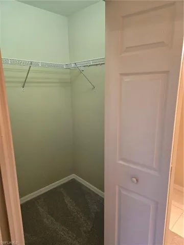 Spacious closet with carpet flooring