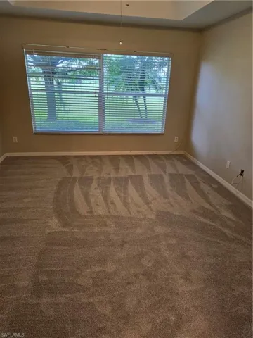 Carpeted spare room featuring a wealth of natural light