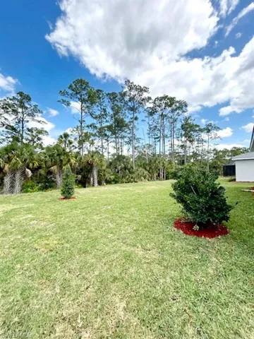 View of grassy yard