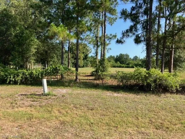 739 Appaloosa Ave, Clewiston Fl 33440