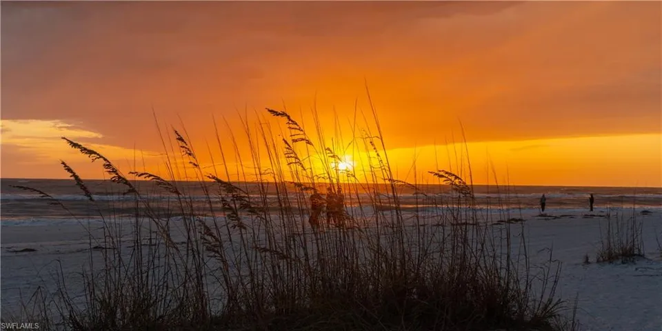 Amazing Sunsets!