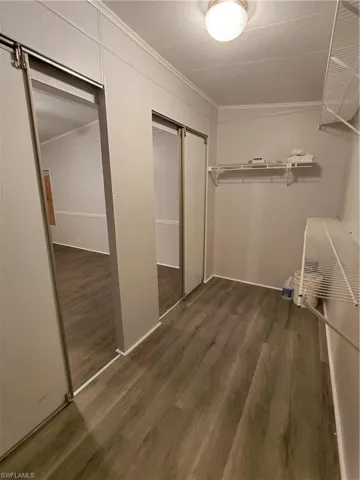 Spacious closet with a barn door and dark wood finished floors