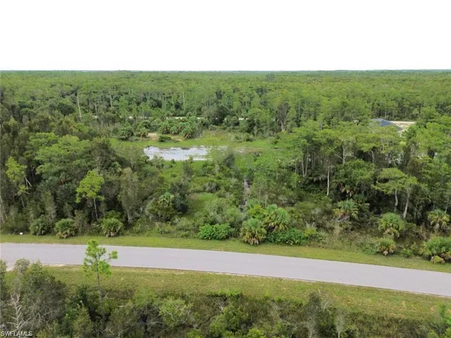 Aerial view of a forest