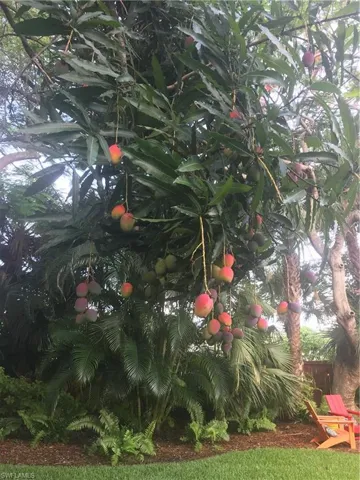 1257  11th N ST, Naples, FL 34102