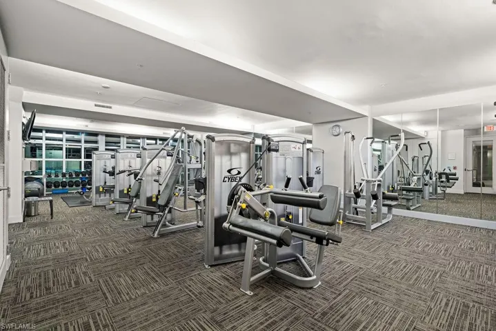 Workout area with dark carpet