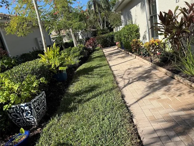 View of grassy yard