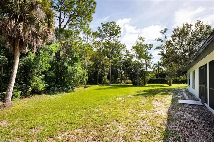 View of grassy yard