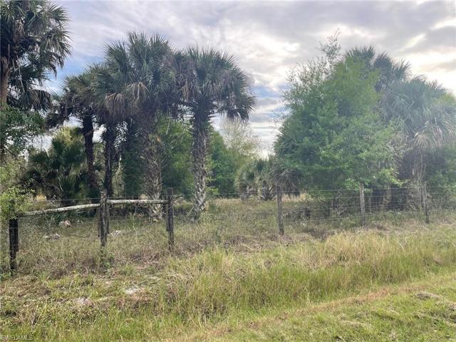 13308  Tangelo  AVE, Clewiston, FL 33440