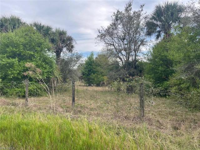 13308  Tangelo  AVE, Clewiston, FL 33440