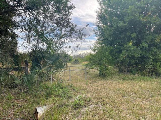 13308  Tangelo  AVE, Clewiston, FL 33440
