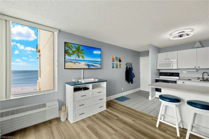 Living room and kitchen