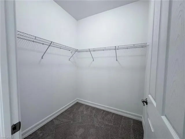 Spacious closet featuring dark carpet