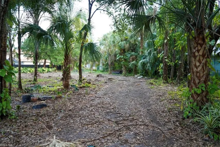 385 Caloosa Drive, LaBelle, FL 33935 - .38 acre home site