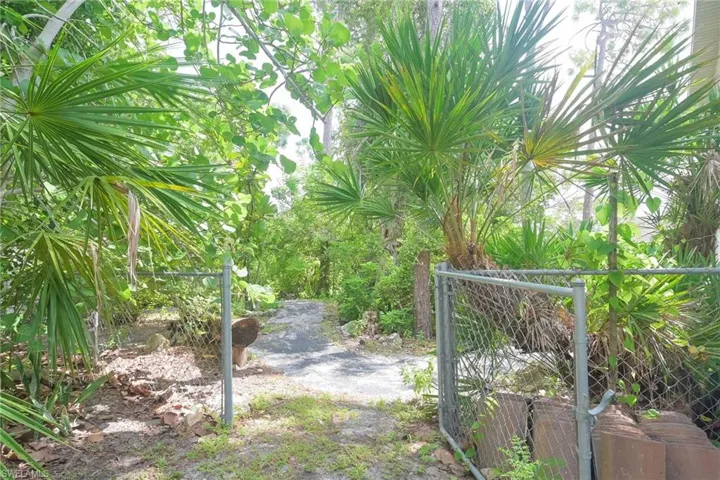 Asphalt Trails