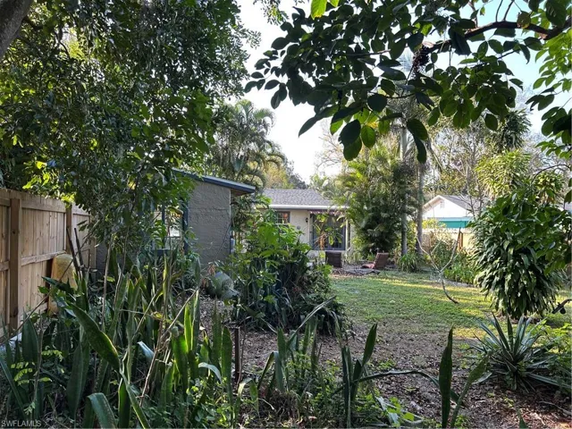 View of the back yard.