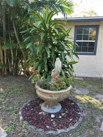 Some of the land scaping in the back yard.