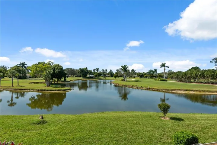 View from rear Lanai