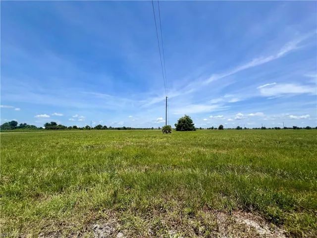 View of local wilderness with a rural view