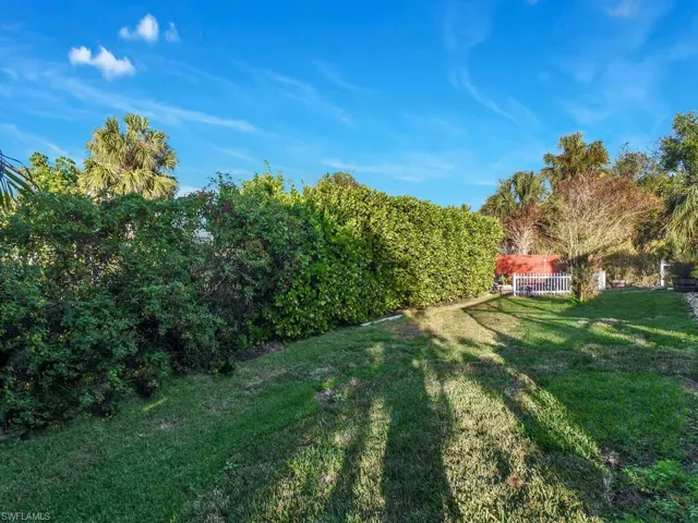 Spacious Backyard