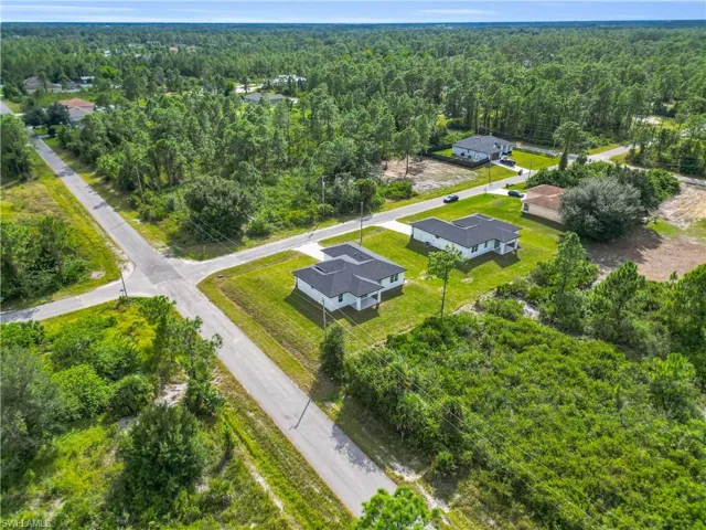 Drone / aerial view of a forest