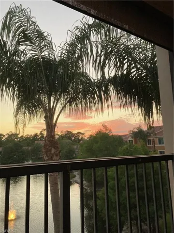 As the lights come on, the lake and palm tree glow under the fading sky.