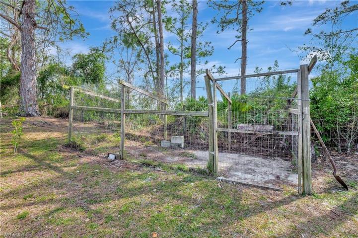 Fenced in garden