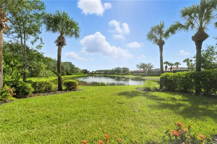 Water view
