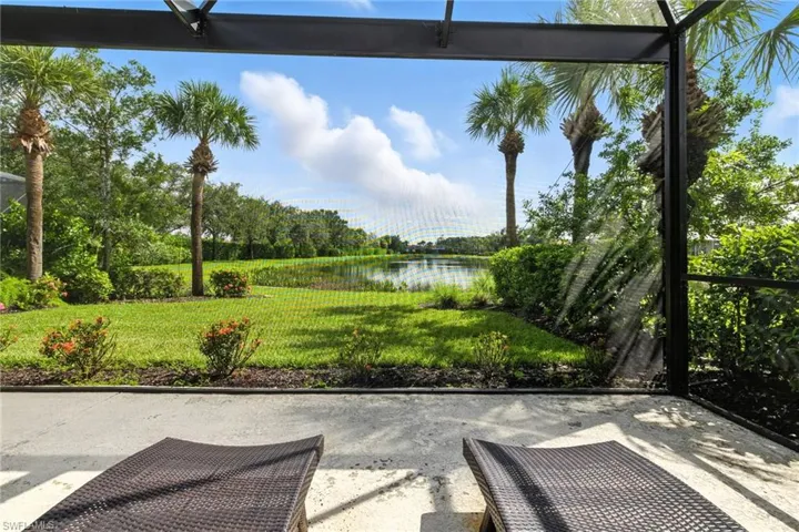 Picture Window Screen