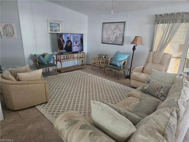 Living room featuring carpet and a textured ceiling