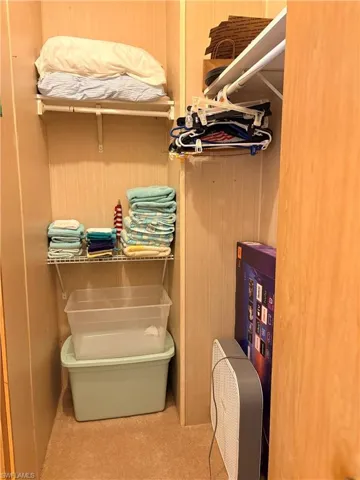Bathroom featuring light colored carpet and wooden walls