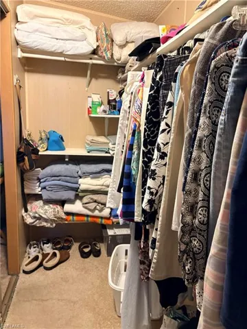 Walk in closet with light colored carpet
