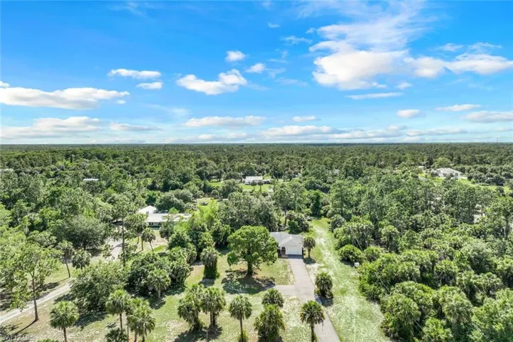 View of bird's eye view