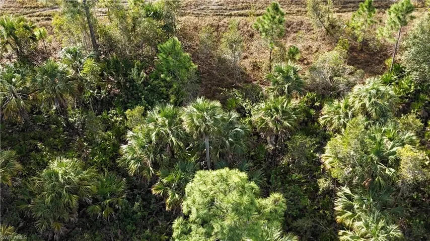 View of landscape