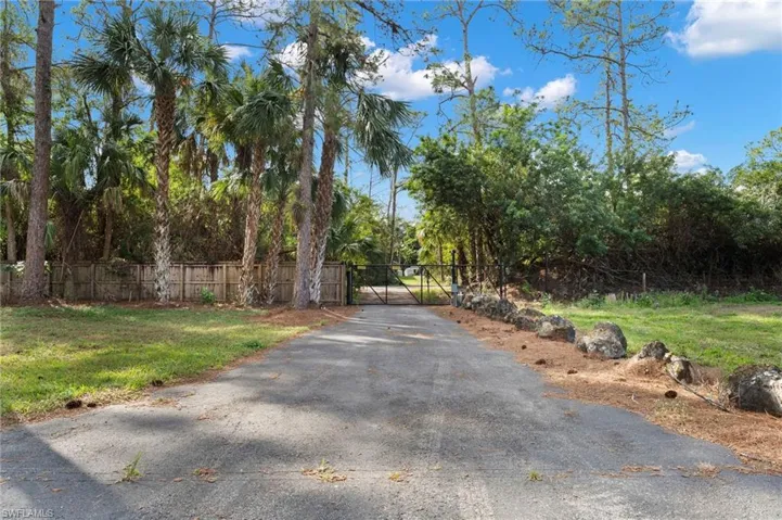 Gate/Driveway