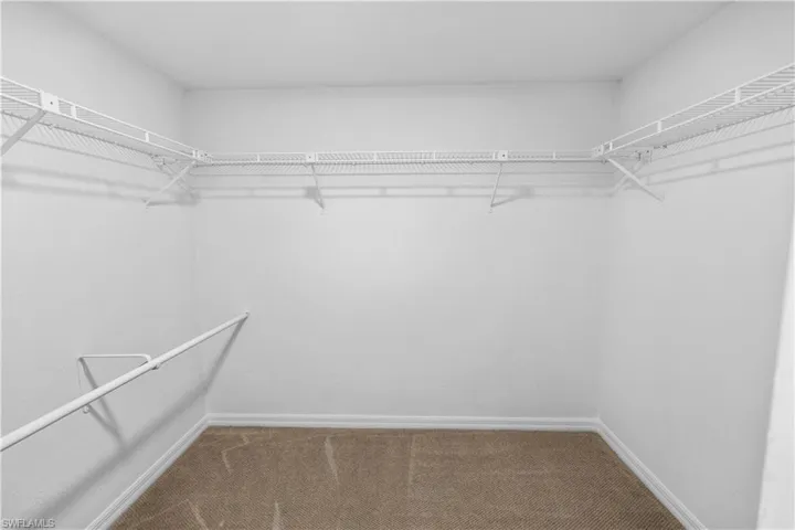Walk in closet with carpet flooring