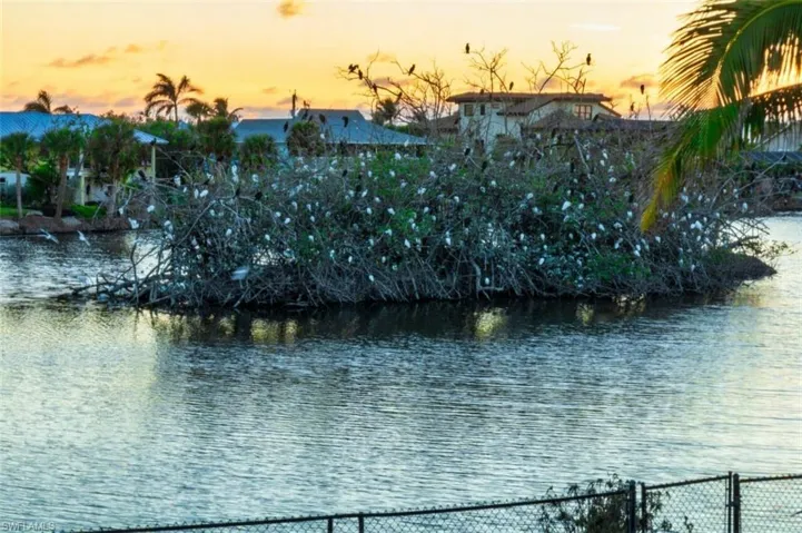 Birds-on-Island