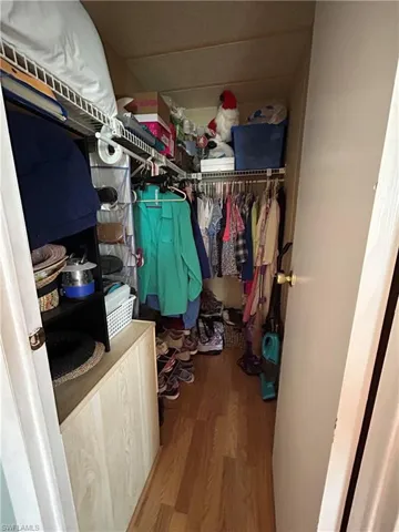 Spacious closet with wood-type flooring