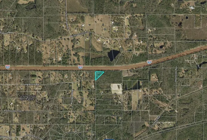 13-19-20-218-0000  Tung Grove  RD, Tallahassee, FL 32317